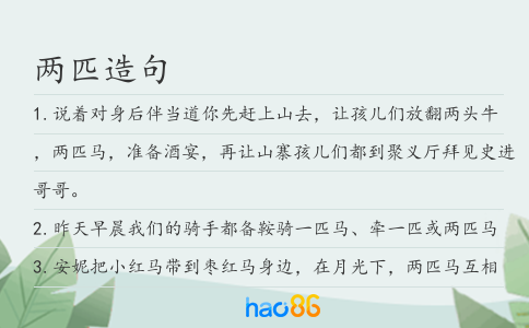 两匹造句