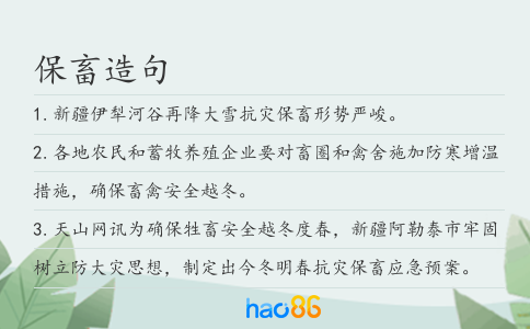 保畜造句