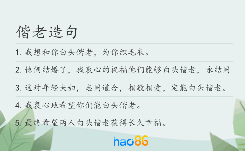 偕老造句