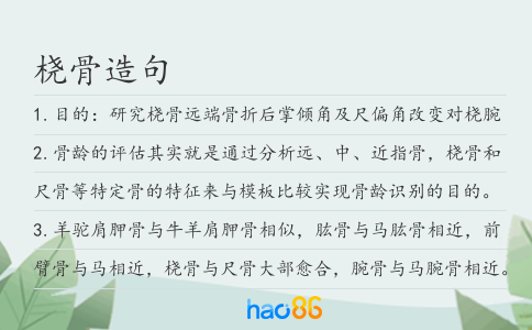 桡骨造句