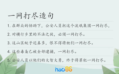 一网打尽造句