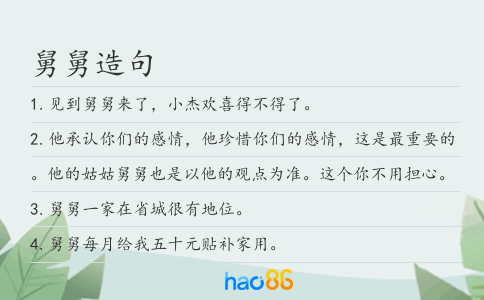 舅舅造句