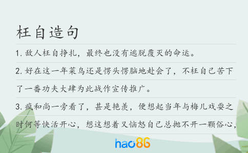 枉自造句