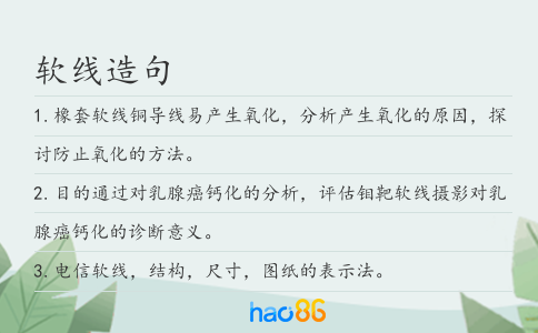 软线造句