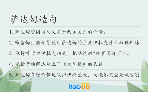 萨达姆造句