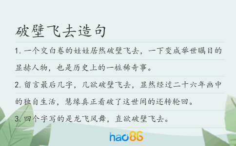 破壁飞去造句