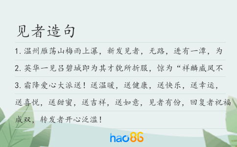 见者造句