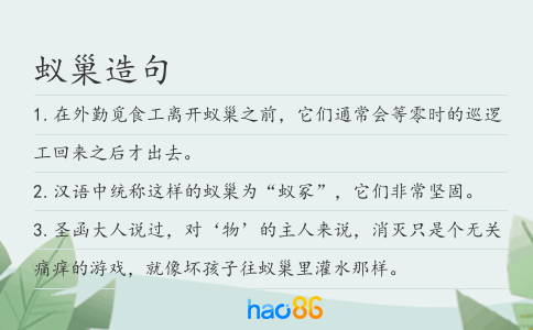 蚁巢造句