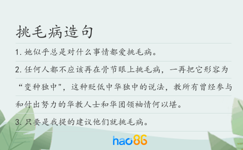 挑毛病造句