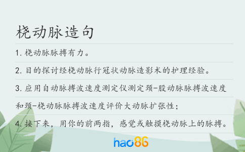 桡动脉造句