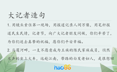 大记者造句