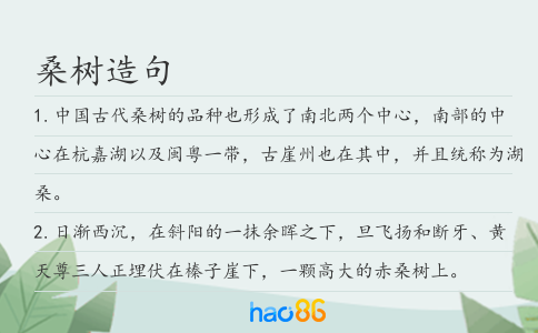 桑树造句