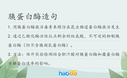胰蛋白酶造句