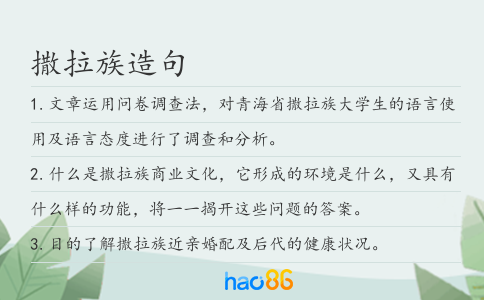 撒拉族造句