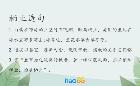 栖止造句
