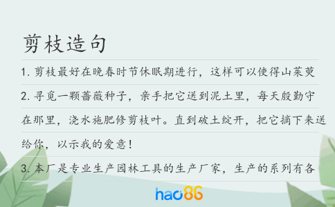 剪枝造句
