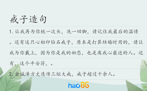 戒子造句