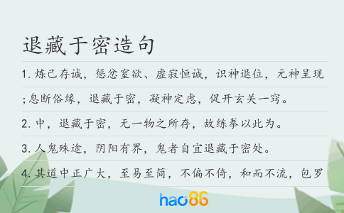 退藏于密造句