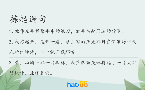 拣起造句
