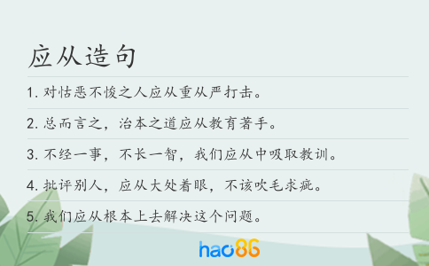 应从造句