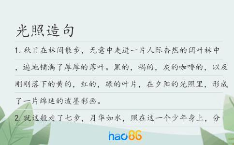 光照造句