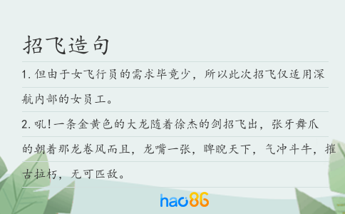 招飞造句