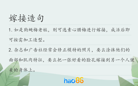 嫁接造句