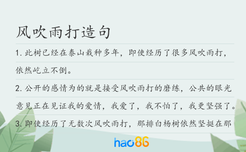 风吹雨打造句