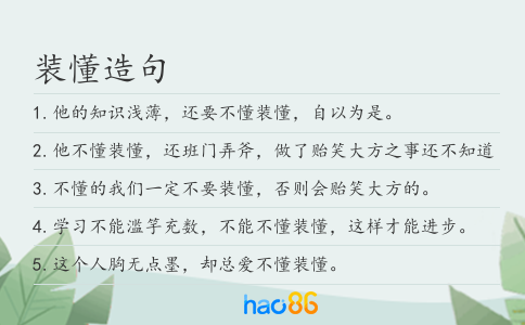 装懂造句