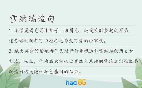 雪纳瑞造句