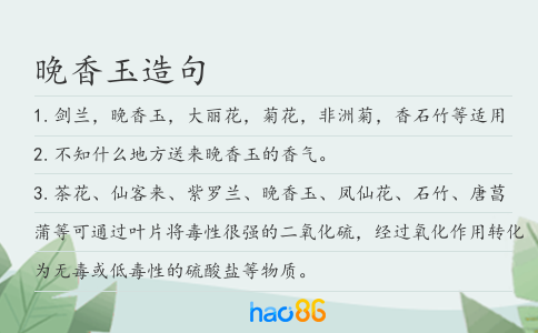 晚香玉造句