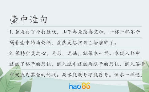 壶中造句