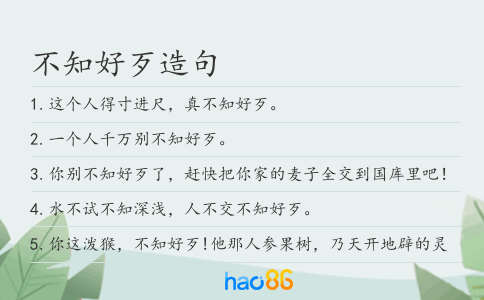 不知好歹造句