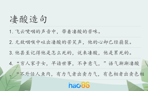 凄酸造句