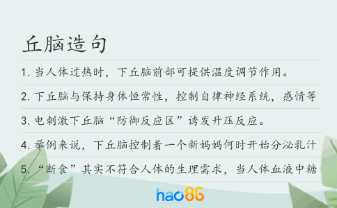 丘脑造句