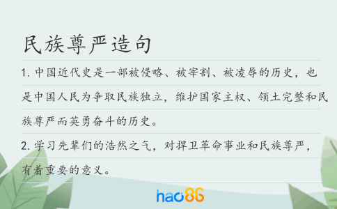 民族尊严造句