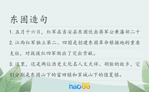 东固造句