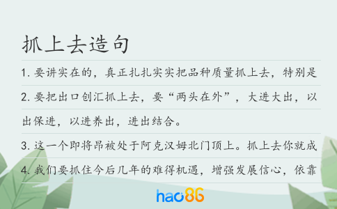 抓上去造句