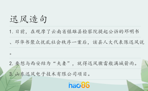 迅风造句