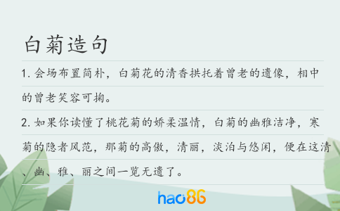 白菊造句