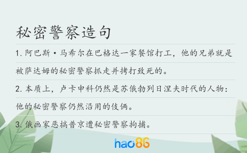 秘密警察造句