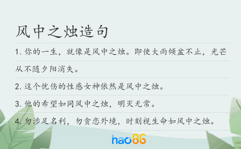 风中之烛造句