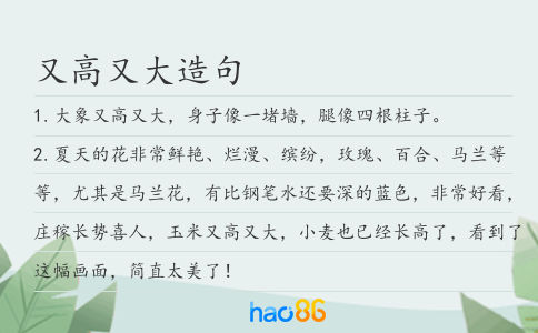 又高又大造句