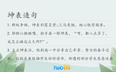 坤表造句