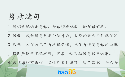 舅母造句