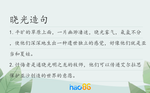 晓光造句