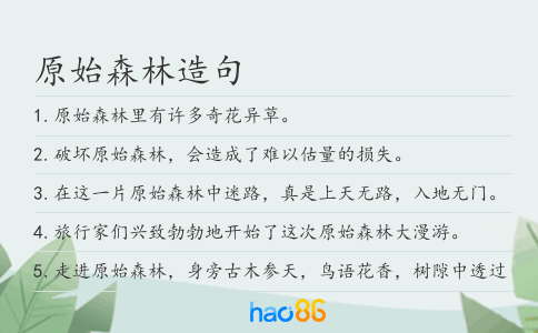 原始森林造句