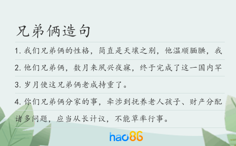兄弟俩造句