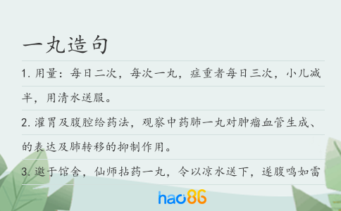一丸造句