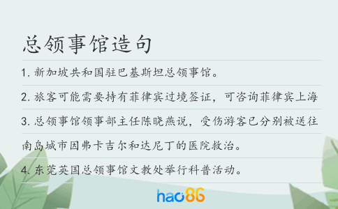 总领事馆造句